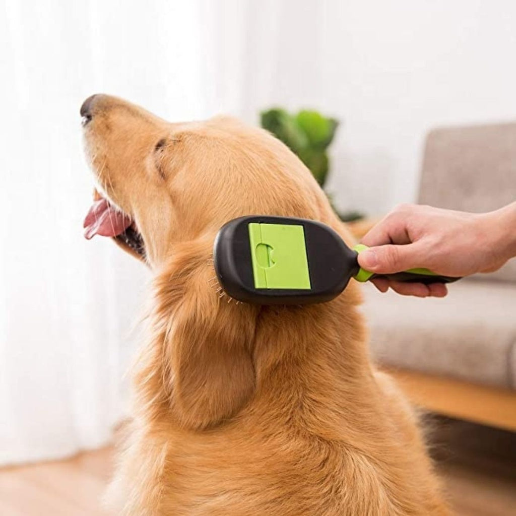 🌟 Floofi 5-in-1 Pet Grooming Set | Complete Care Kit for Your Furry Friend 🐾