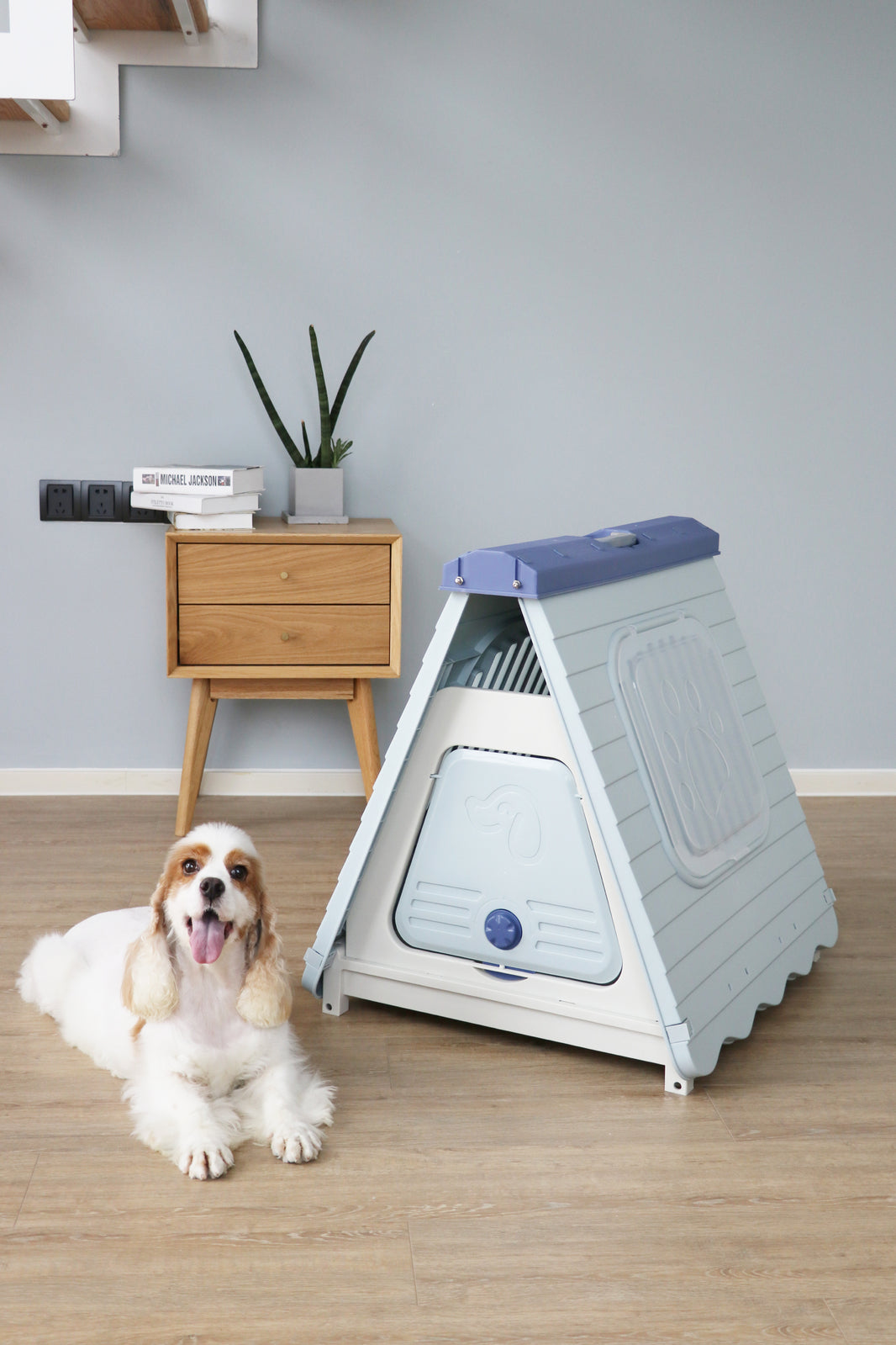 🐾 Foldable Plastic Pet House | Small Kennel for Dogs & Cats – Blue