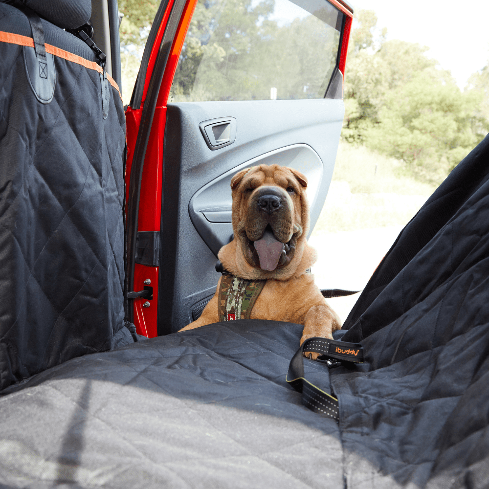 🐾 iBuddy Dog Seat Cover | Car Hammock with Mesh Window & Seat Belt Attachment