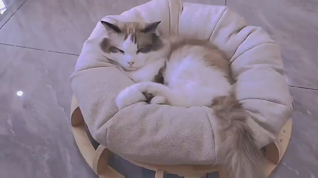 🐱 Timber Gyro Cat Nest Bed