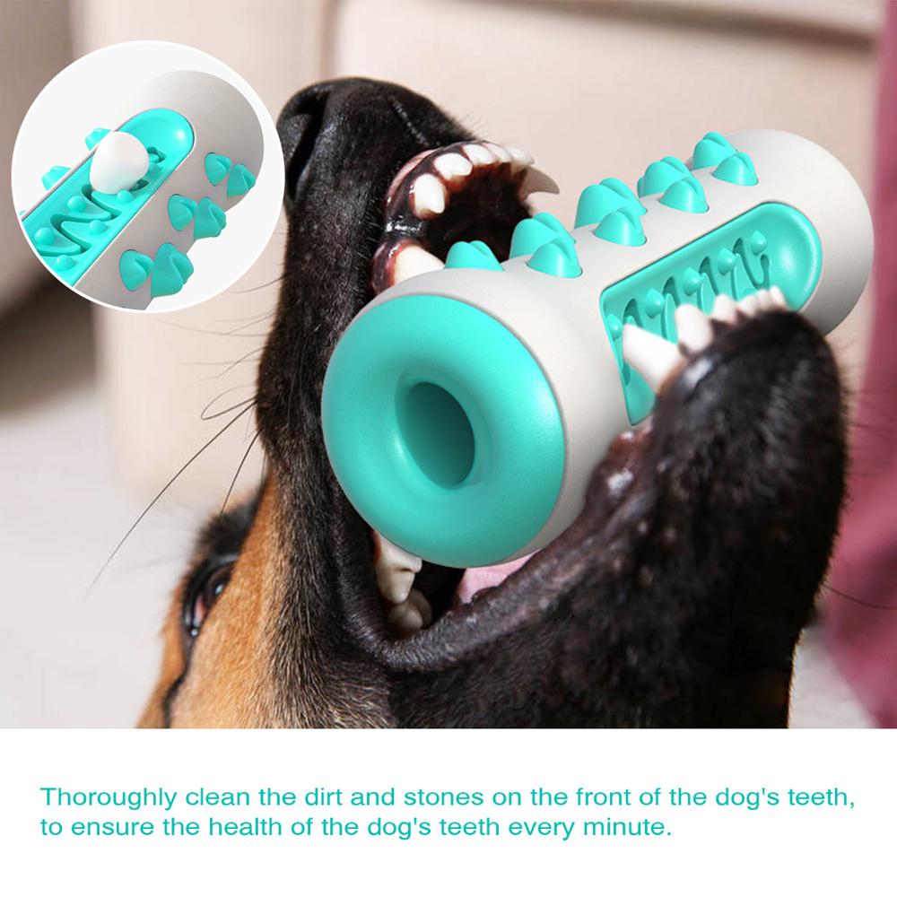 🐾 Squeaky Dog Toy