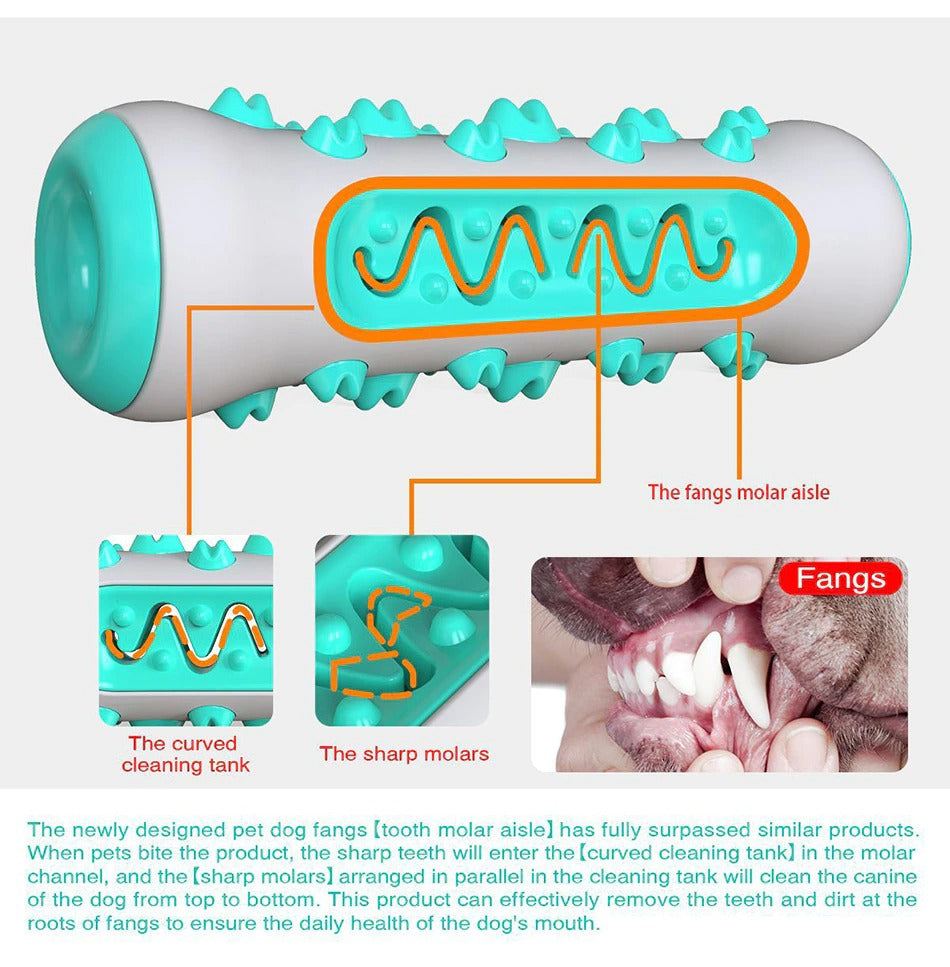 🐾 Squeaky Dog Toy