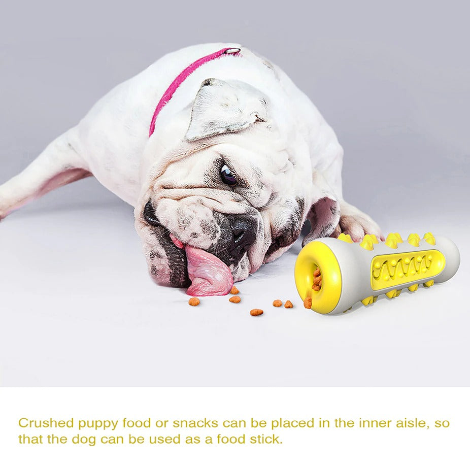 🐾 Squeaky Dog Toy