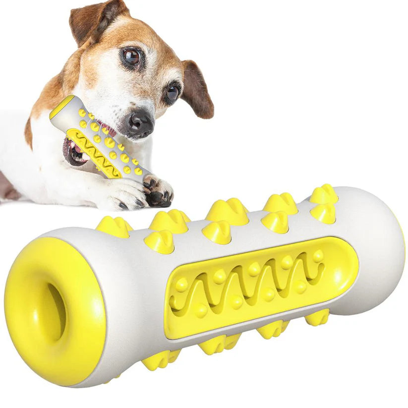 🐾 Squeaky Dog Toy