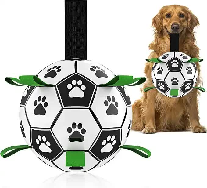 PawPlay Soccer Ball ⚽🐾