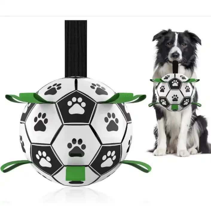 PawPlay Soccer Ball ⚽🐾