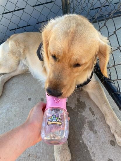 Drink Buddy 🥤