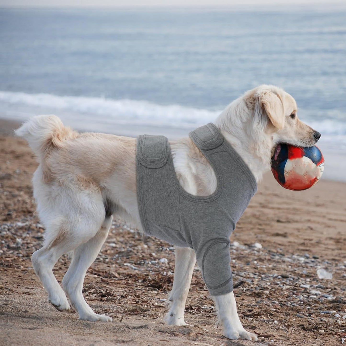 Elastic Dog Leg Guard – Post-Surgery Protection, Prevents Licking & Biting