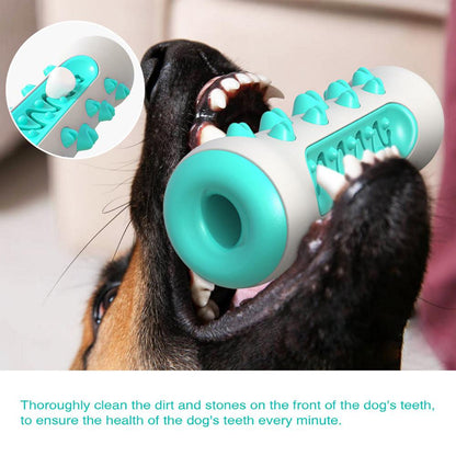 🐾 Squeaky Dog Toy