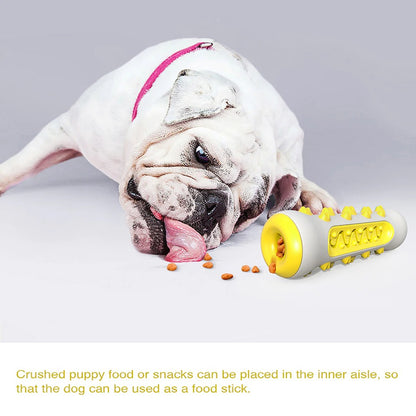 🐾 Squeaky Dog Toy
