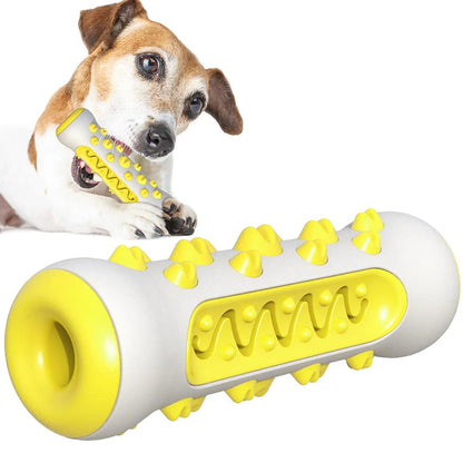 🐾 Squeaky Dog Toy