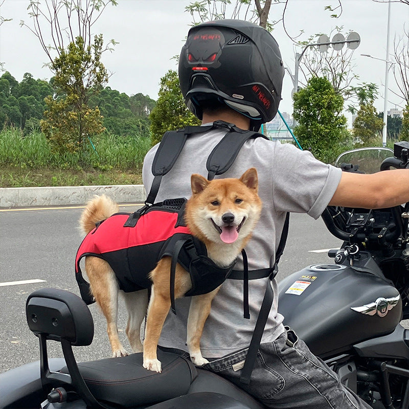 Pet Carrier Backpack – Perfect for Outdoor Adventures