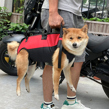 Pet Carrier Backpack – Perfect for Outdoor Adventures