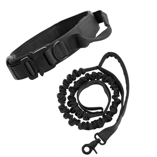Hands-Free Dog Leash with Adjustable Waist Belt – Shock Absorbing Bungee