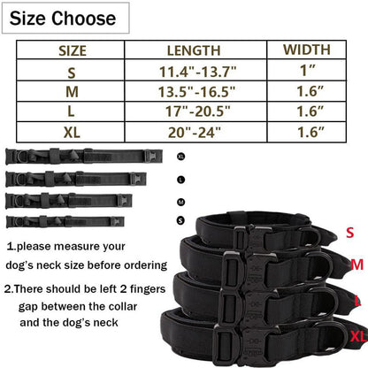 Hands-Free Dog Leash with Adjustable Waist Belt – Shock Absorbing Bungee