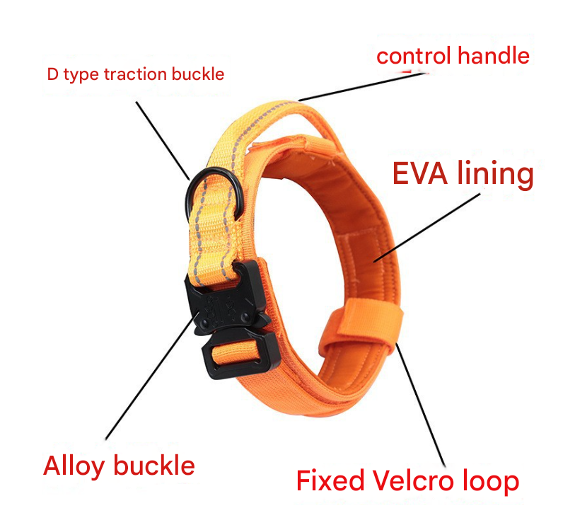 Hands-Free Dog Leash with Adjustable Waist Belt – Shock Absorbing Bungee