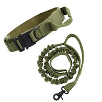 Hands-Free Dog Leash with Adjustable Waist Belt – Shock Absorbing Bungee
